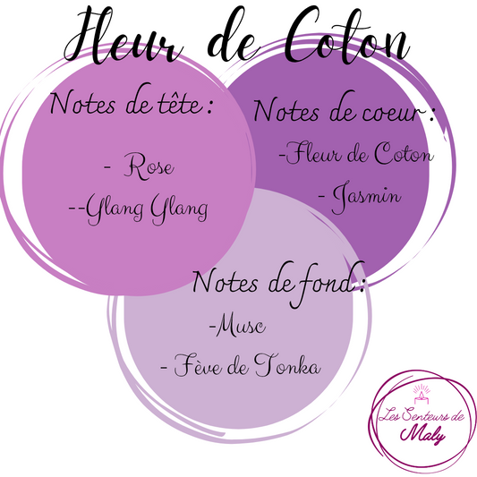 Poudre d'Aspirateur Fleur de Coton 50GR