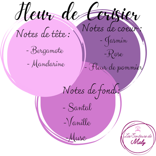 Poudre d'Aspirateur Fleur de Cerisier 50GR