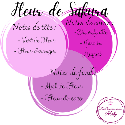 Poudre d'Aspirateur Fleur de Sakura 50GR