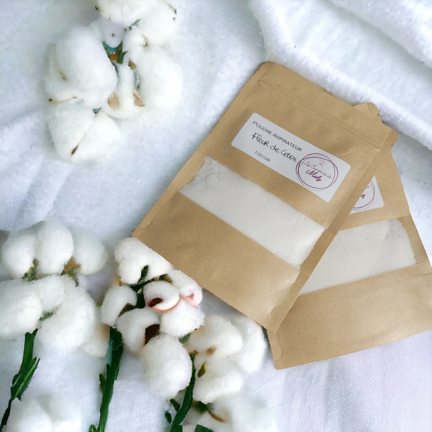 Poudre Aspirateur 100GR