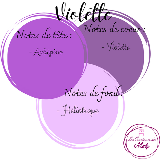Poudre d'Aspirateur Violette 50GR